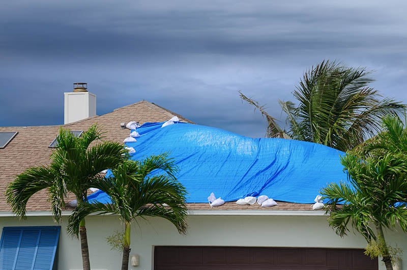 Wind Damage